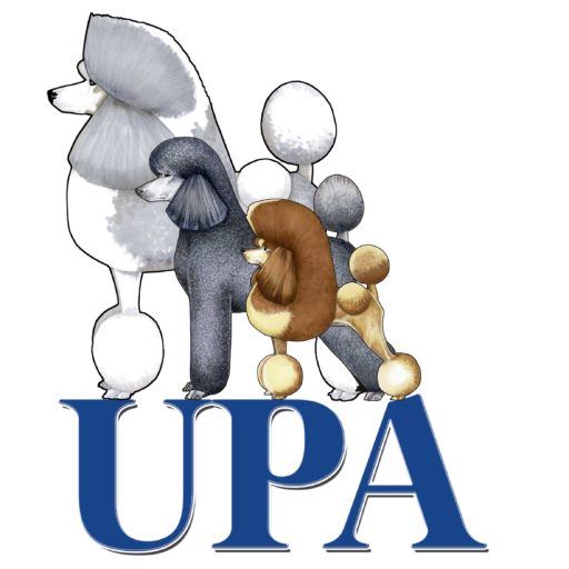 unitedpoodleassociation.org