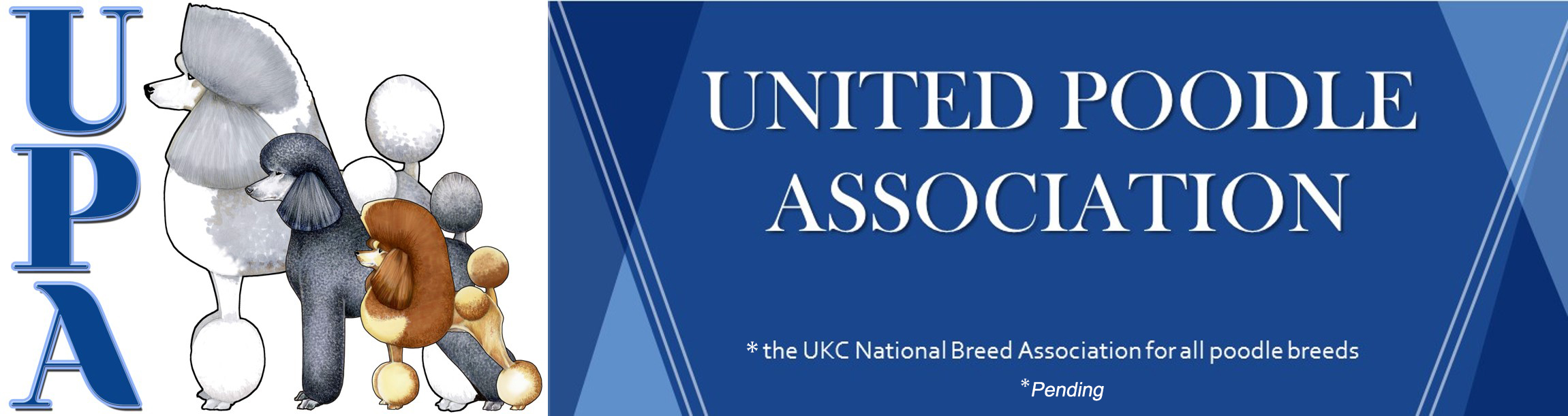United Poodle Association