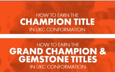 How To Earn UKC Conformation Titles